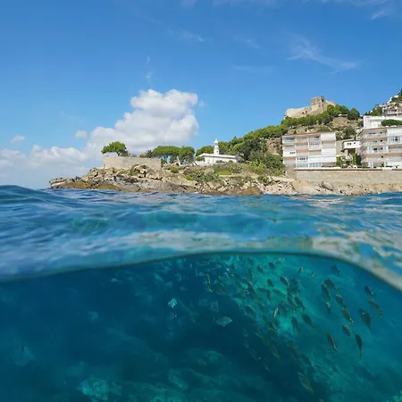 In With Waterfront Views