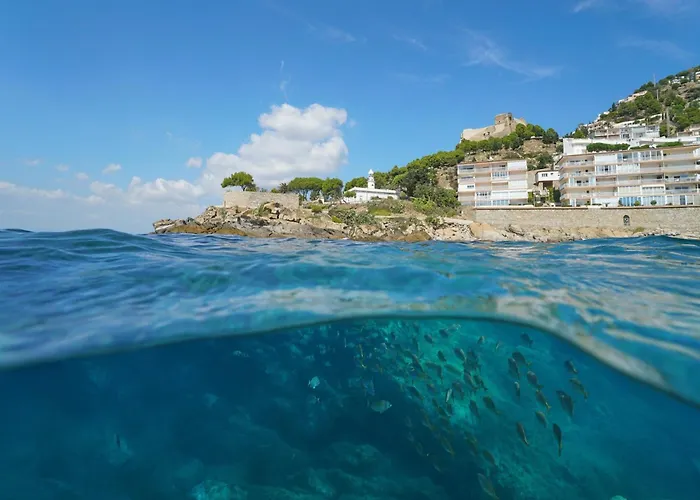 In With Waterfront Views